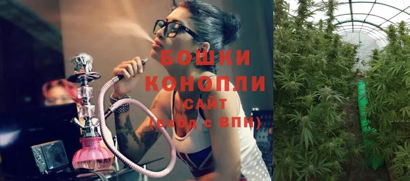 Конопля White Widow  shop состав  Буинск 